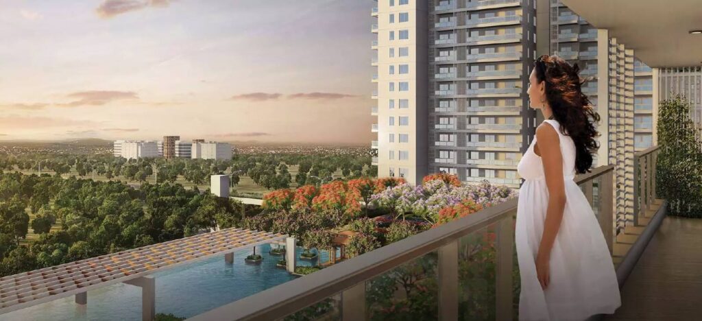 dlf the arbour sector 63 gurgaon